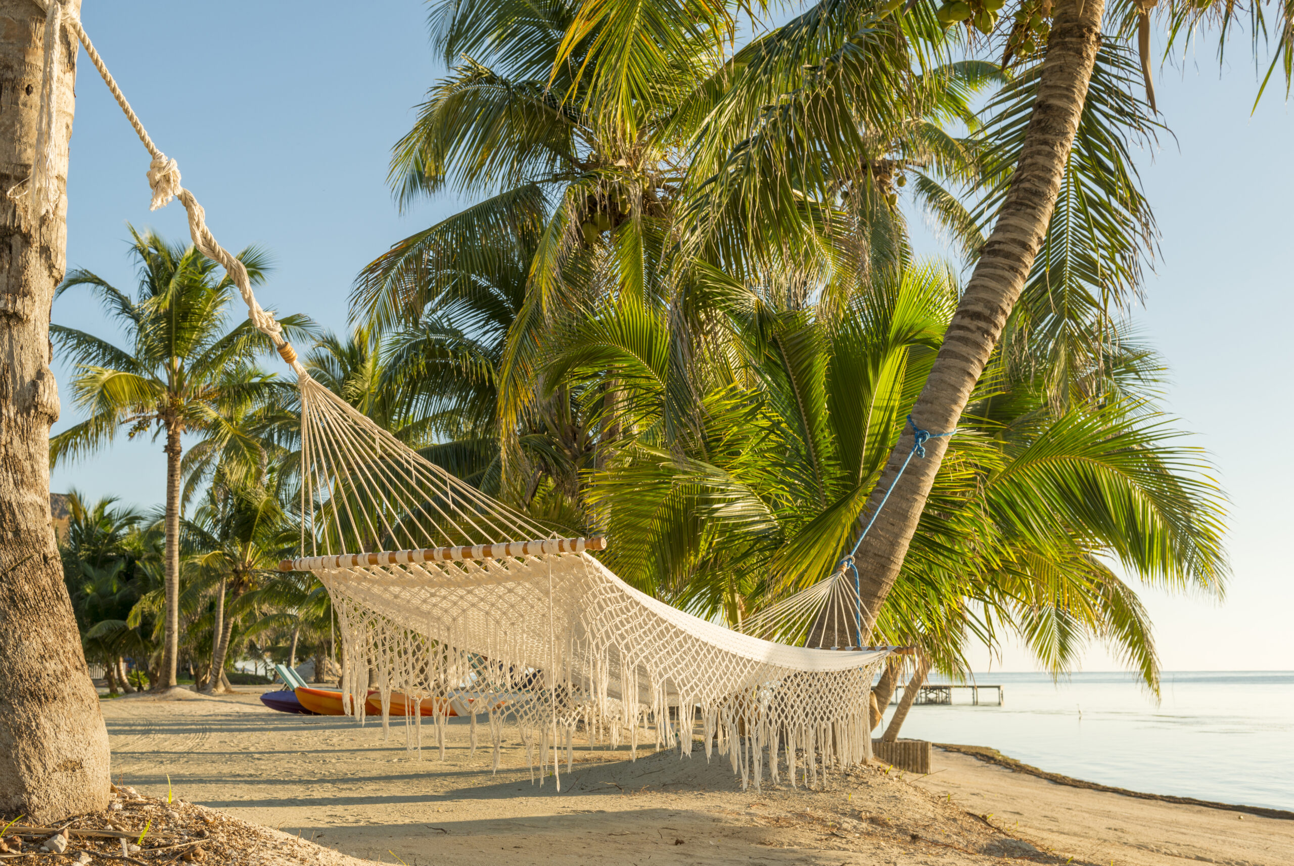 Resort vacation hammock on tropical beach