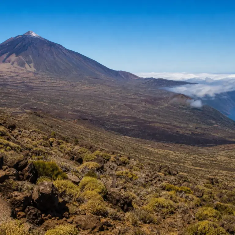 Tenerife